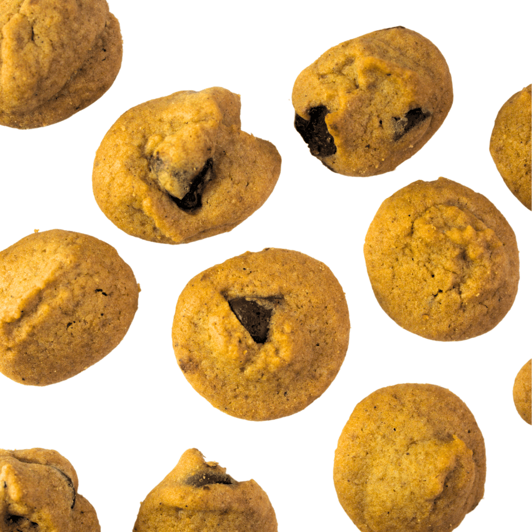 Canister - Vanilla Chai Cookies - The Skinny Bakers,