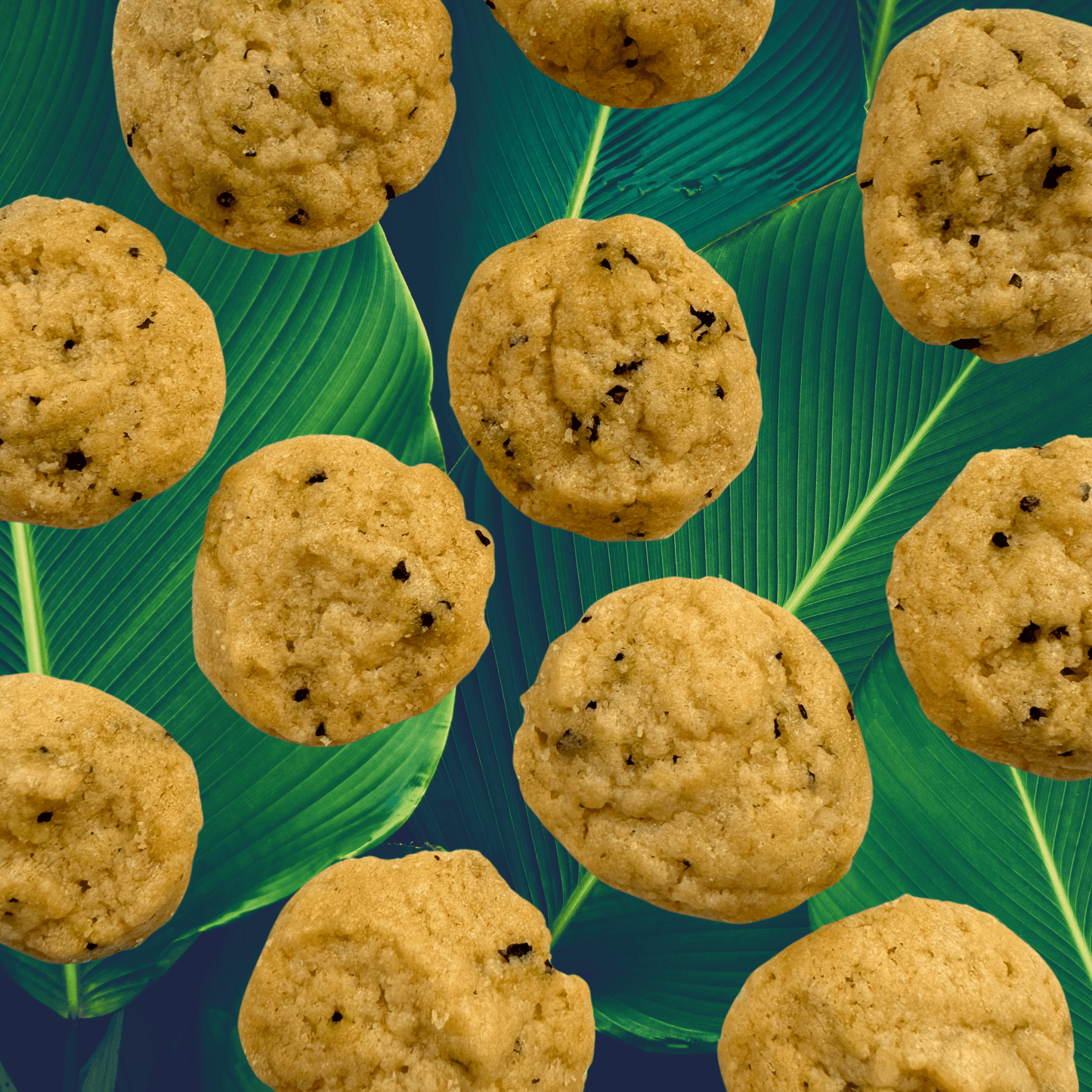 SunTropika Canister - Hibiscus Tea Cookies (eggless) - The Skinny Bakers,