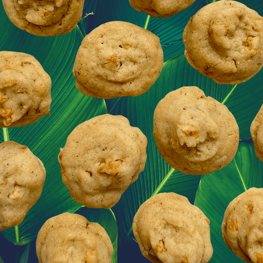 SunTropika Canister - Apple Cinnamon Cookies (eggless) - The Skinny Bakers,