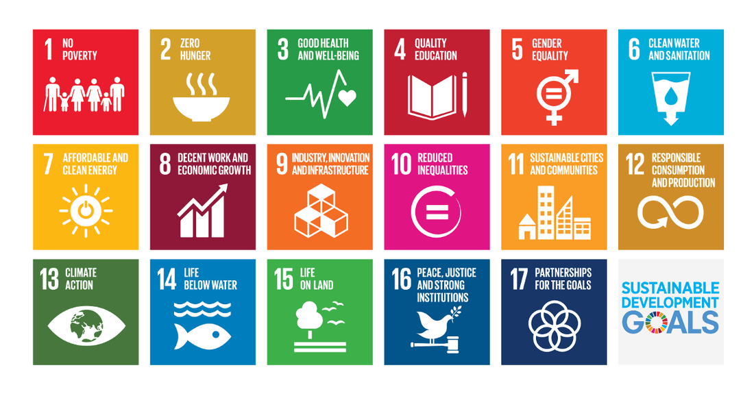 United Nations Sustainable Development Goals and The Skinny Bakers! - The Skinny Bakers
