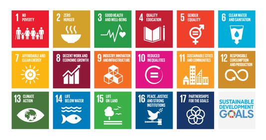United Nations Sustainable Development Goals and The Skinny Bakers! - The Skinny Bakers