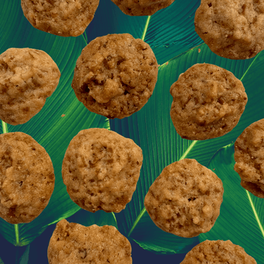 SunTropika Canister - Coconut Gula Melaka Cookies (eggless) - The Skinny Bakers, 