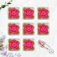 Cookie Container (Approx. 40g) - The Skinny Bakers, 