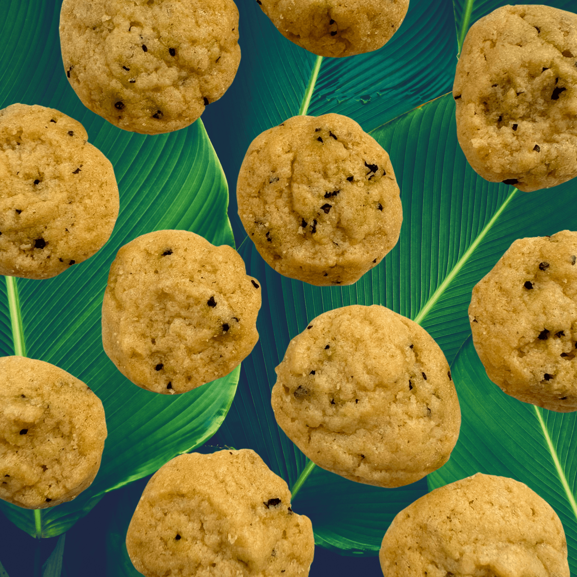 SunTropika Cookie Bag - Hibiscus Tea Cookies 35g (eggless) - The Skinny Bakers, 
