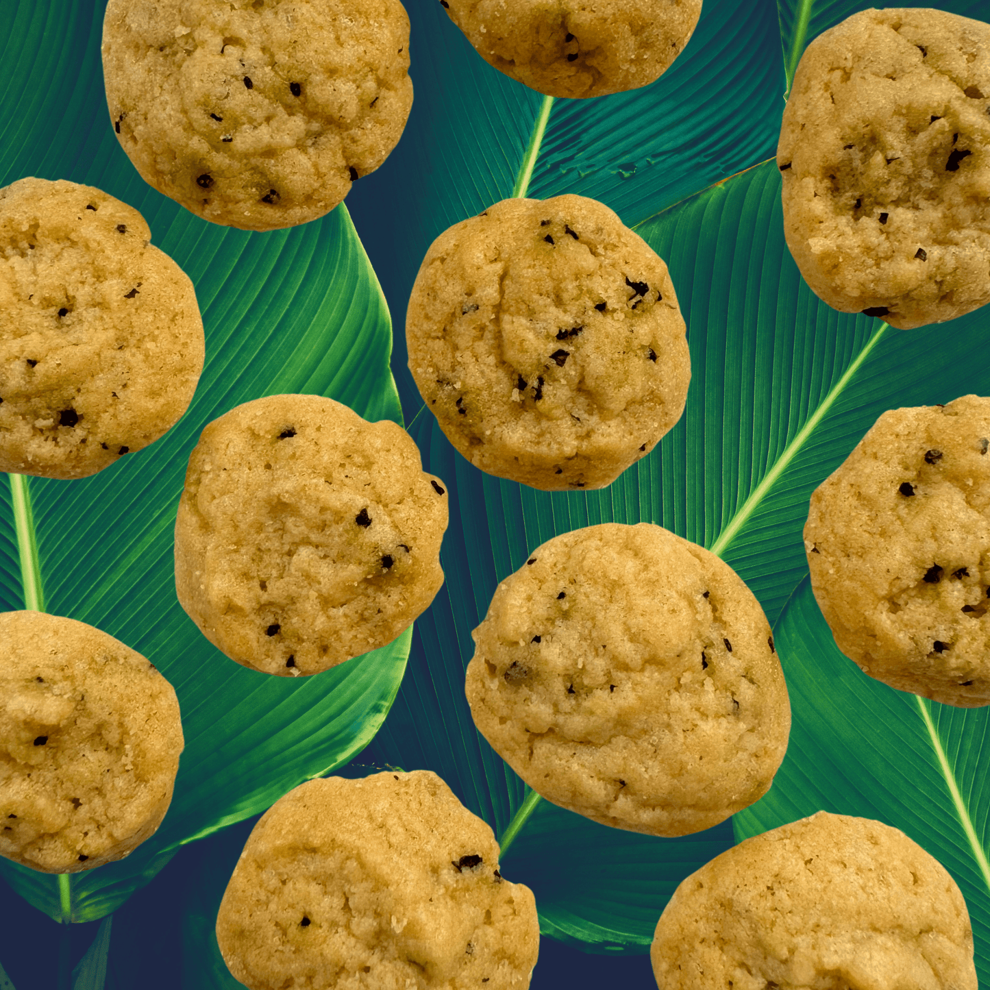 SunTropika Canister - Hibiscus Tea Cookies (eggless) - The Skinny Bakers, 