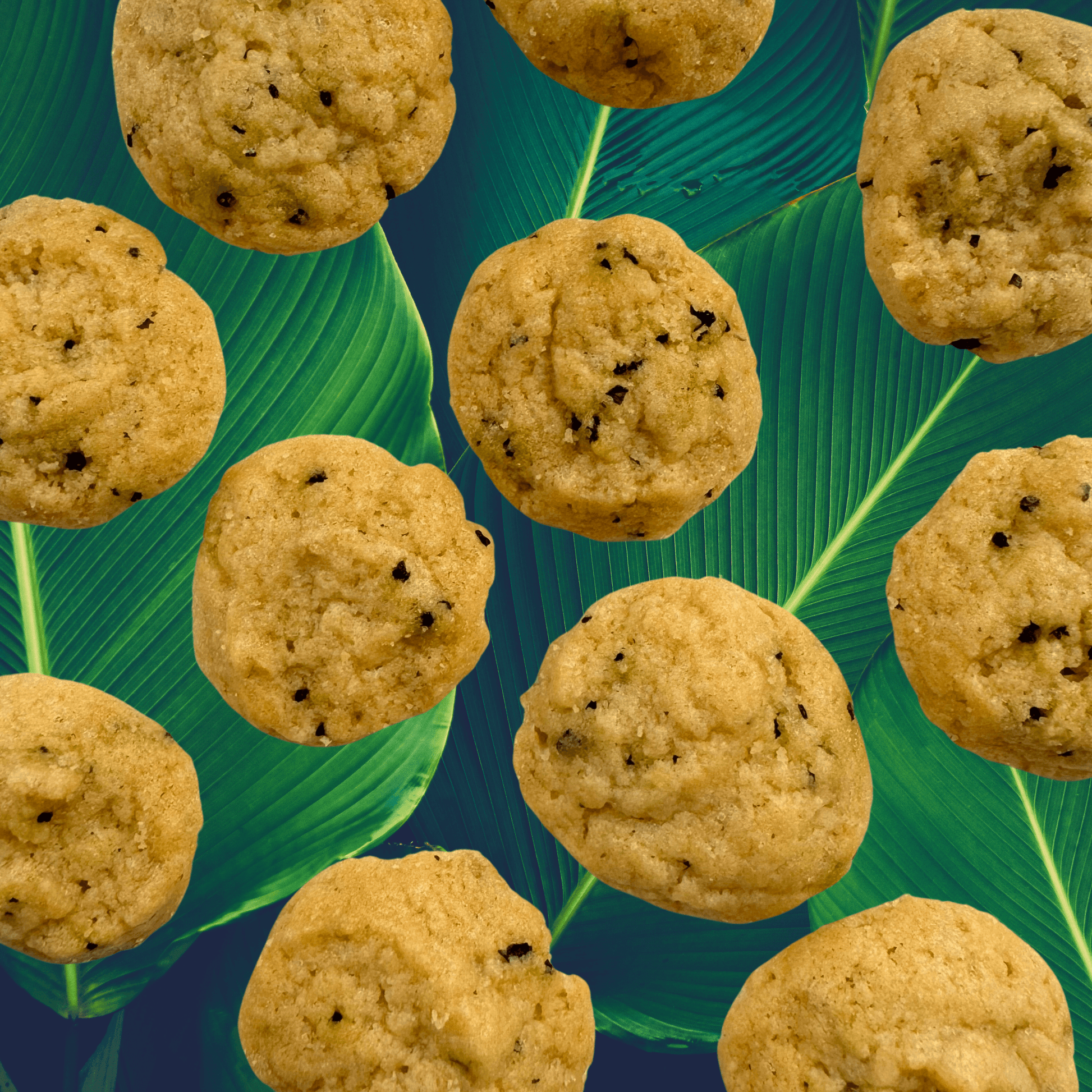 SunTropika Canister - Hibiscus Tea Cookies (eggless) - The Skinny Bakers, 
