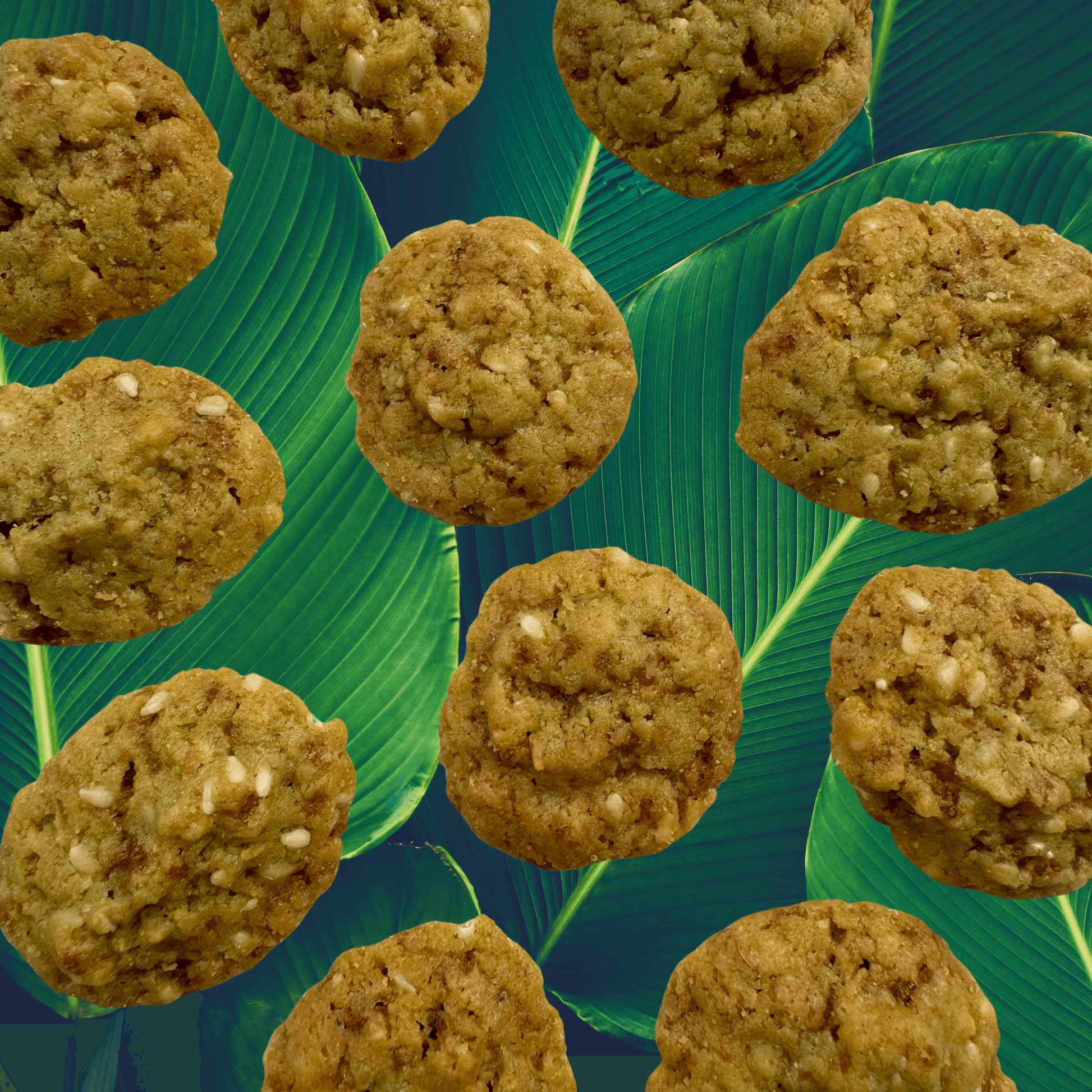 SunTropika Canister - Kuih Bakar Cookies (eggless) - The Skinny Bakers, 