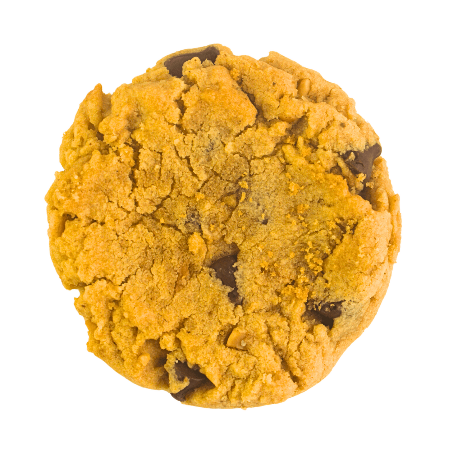 Soft Cookie - Nutty Peanut (Jobbie Special Edition)