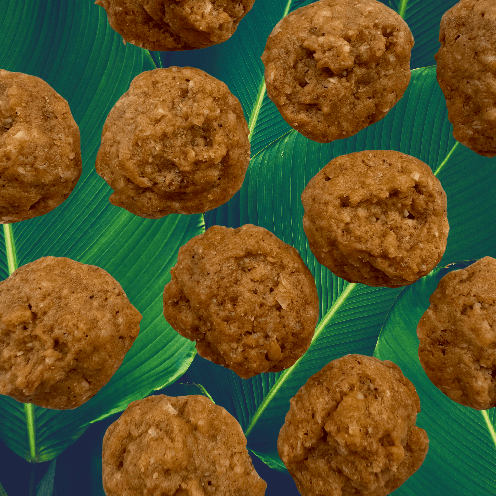 SunTropika Canister - Coconut Chai Cookies (eggless) - The Skinny Bakers, 